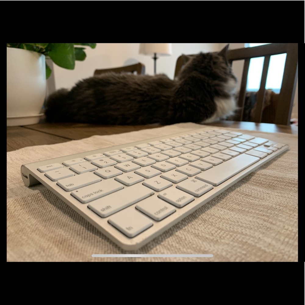 Apple A1314 Wireless Keyboard